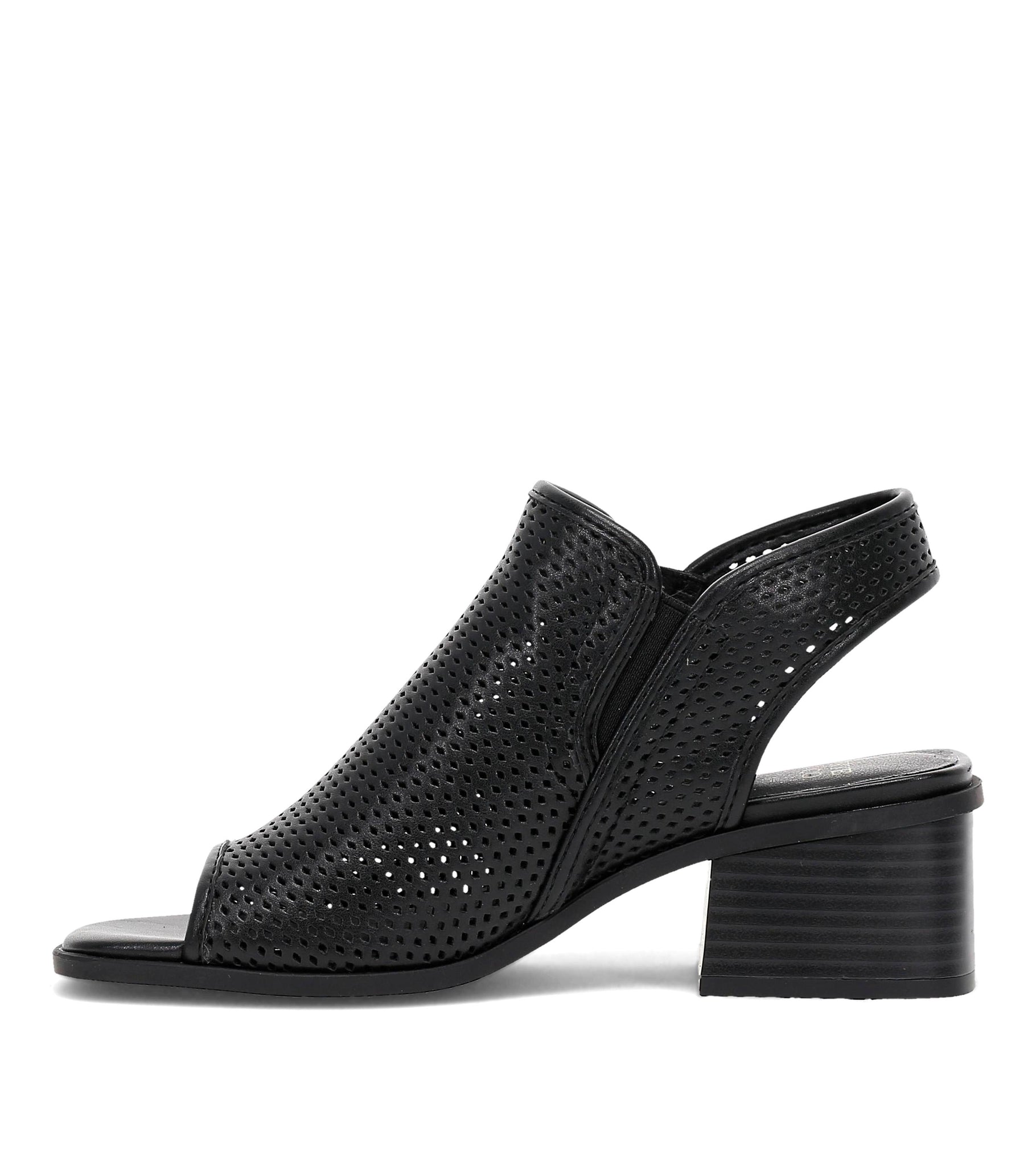 Frye and Co Women OASYS BLACK/NAPLES PU